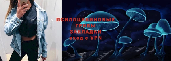 винт Осташков