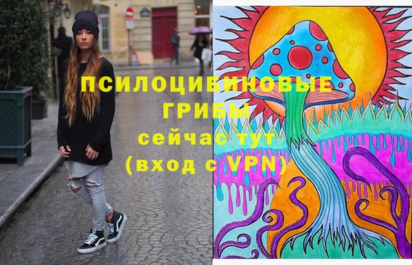не бодяженный Арсеньев